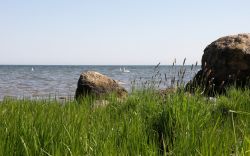 2009-wallpaper-havet-gras-01-1680x1050