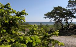 2009-wallpaper-trad-havet-01-1680x1050