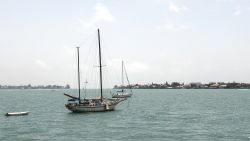 Batar-Tampa-bay-1920x1080-03