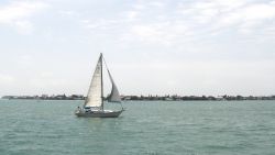 Batar-Tampa-bay-1920x1080-05